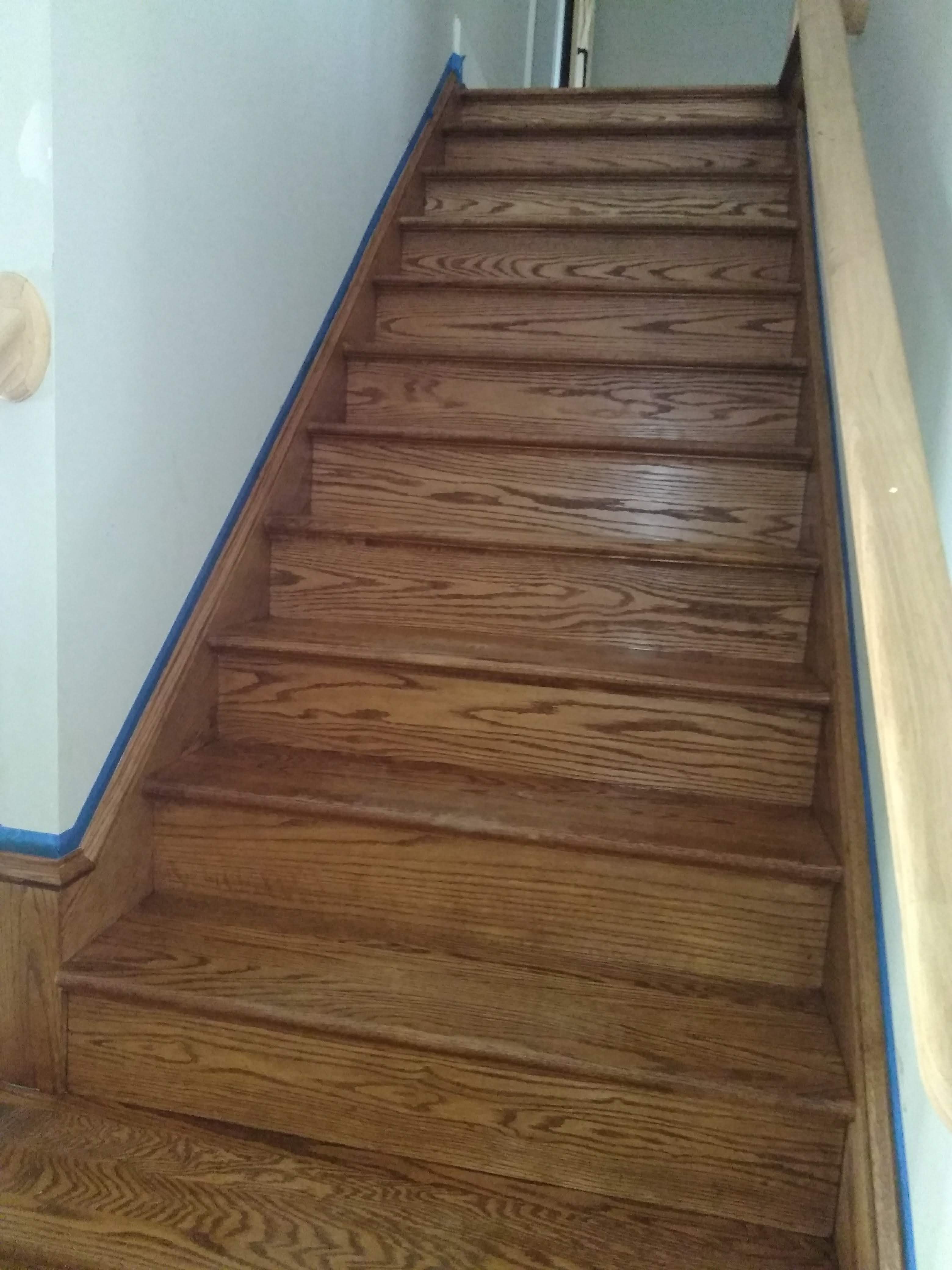 Staining Project